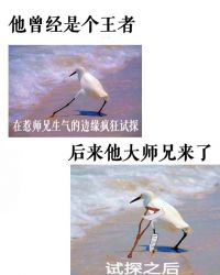 小师弟求你清醒一点